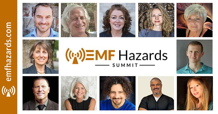 EMF Hazards Summit