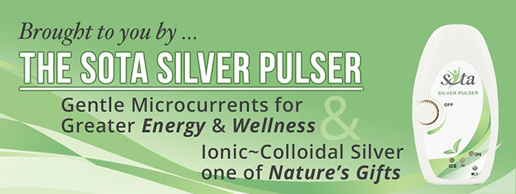 Silver Pulser Banner